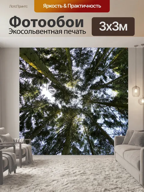 Фотообои Дерево