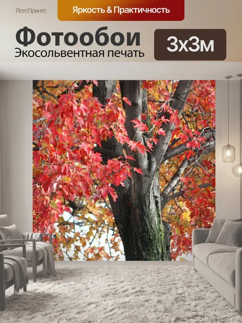 Фотообои Дерево