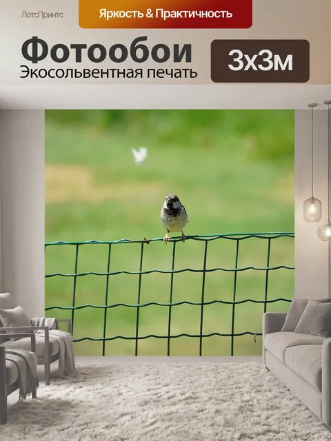 Фотообои Птица
