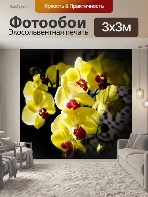 Фотообои Орхидеи