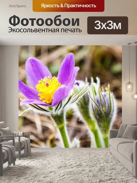 Фотообои Цветы