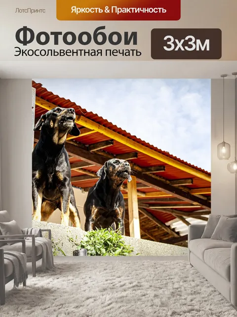Фотообои Собака