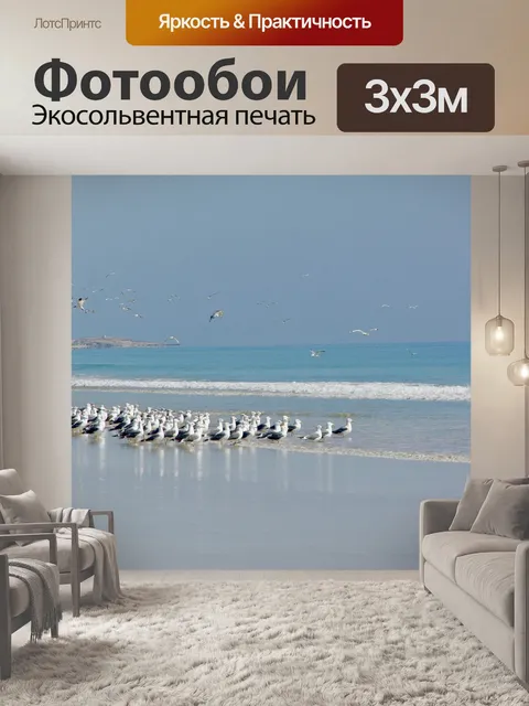 Фотообои Чайки