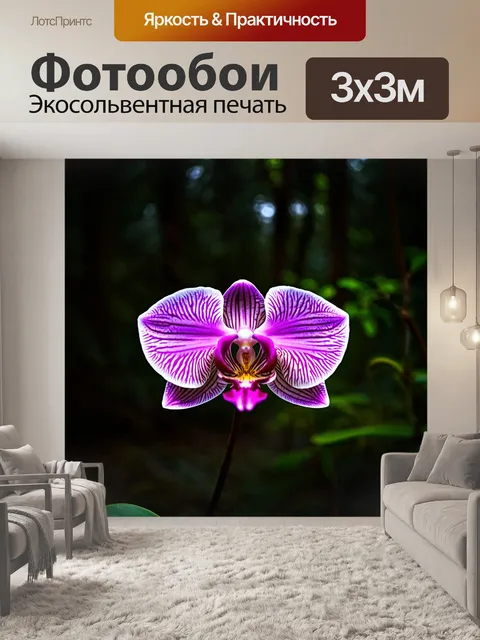 Фотообои орхидея, излучающая внутренний свет, на фоне темного леса