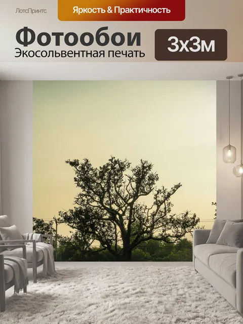 Фотообои Мертвое дерево, силуэт дерева
