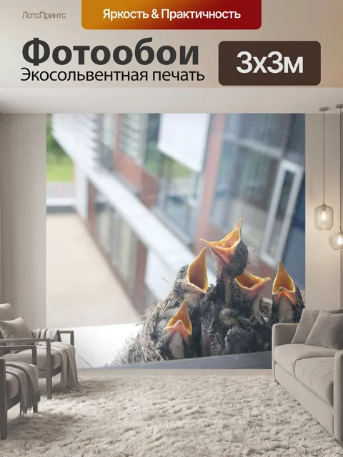 Фотообои Птица
