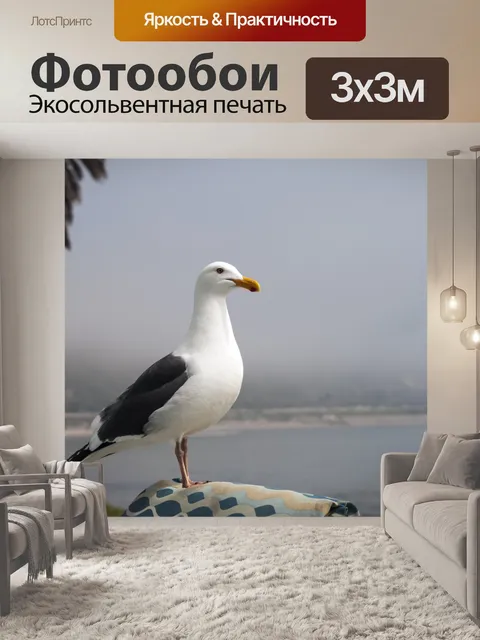 Фотообои Чайка на шезлонге