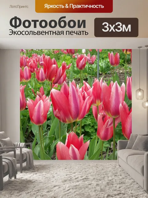 Фотообои Остров майнау
