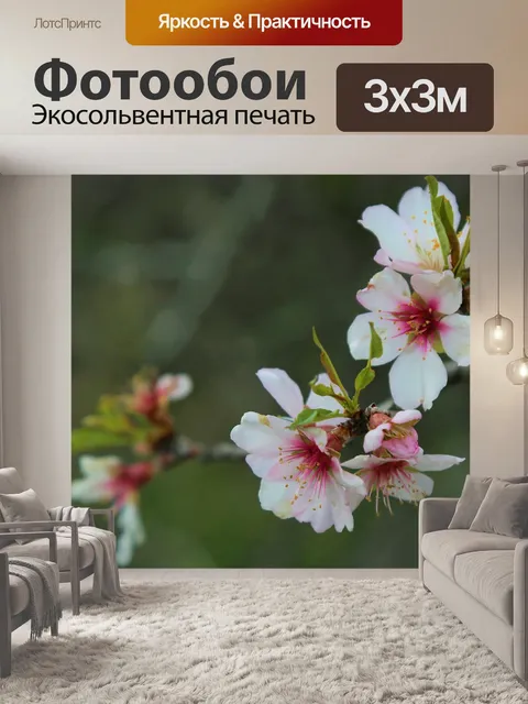Фотообои Цветы