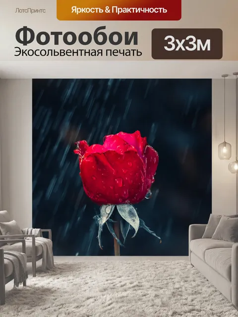 Фотообои Роза