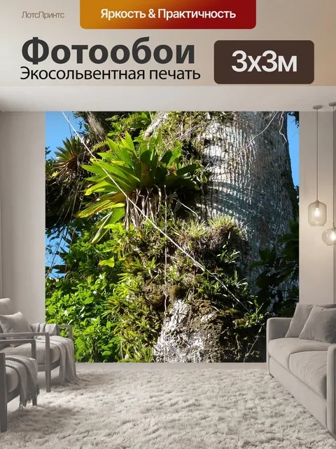 Фотообои Джунгли