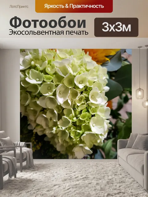 Фотообои Гортензия