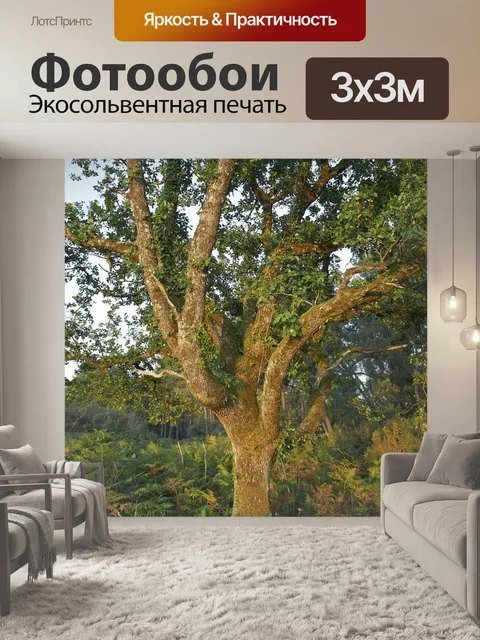 Фотообои Франция