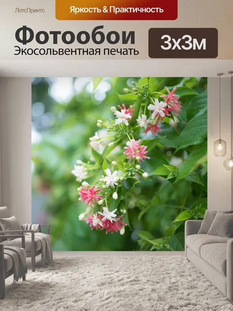 Фотообои Цветок