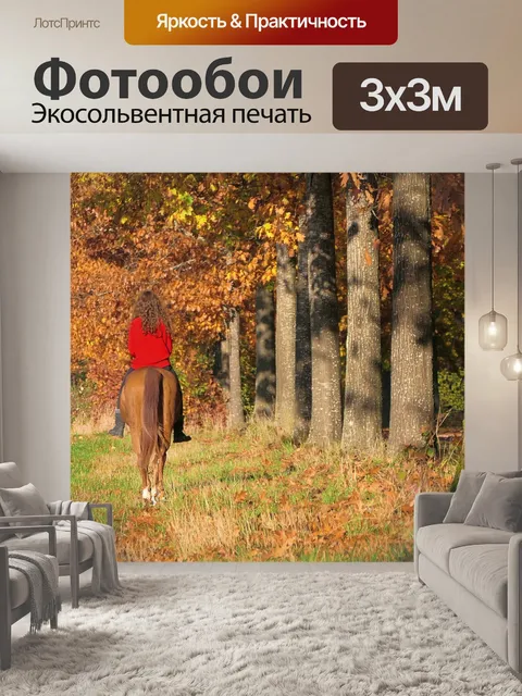 Фотообои Лошадь