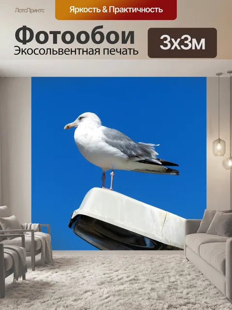Фотообои Птица