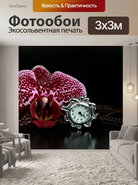 Фотообои Орхидея