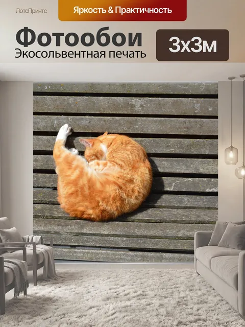 Фотообои 05 кошки