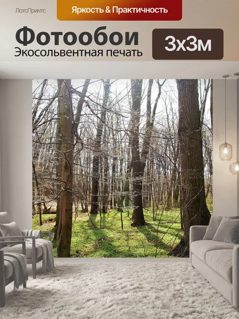 Фотообои Лес