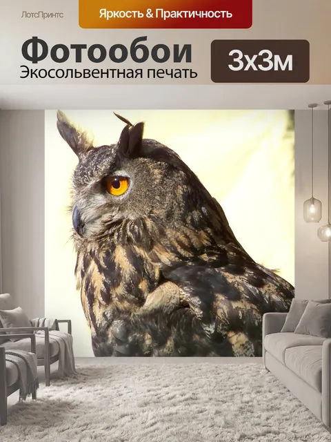 Фотообои Сова