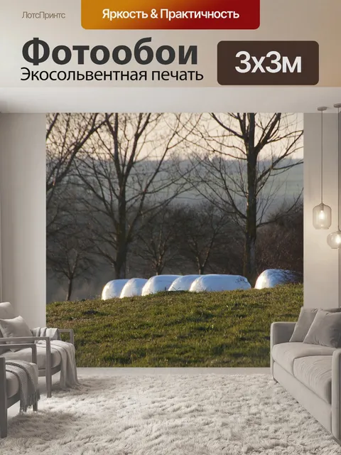 Фотообои Деревья