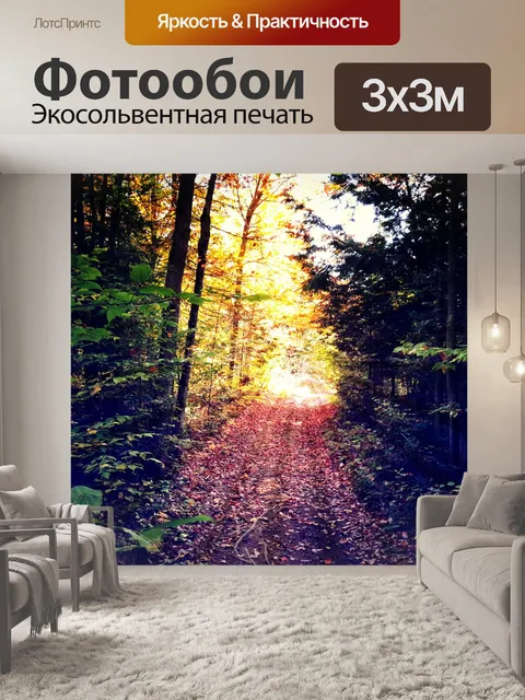 Фотообои Просвещенный лесной тропинке