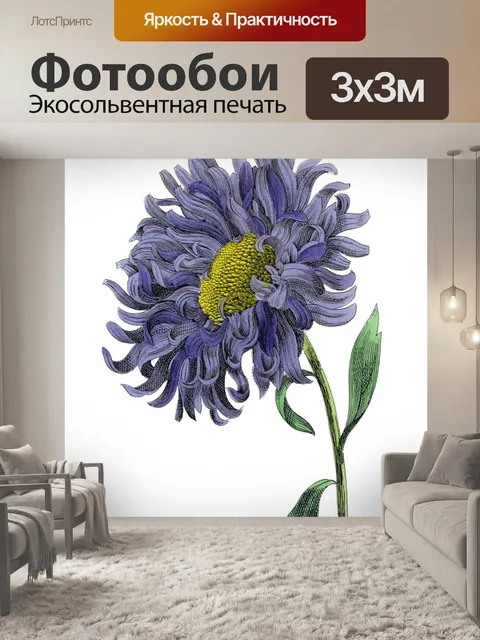 Фотообои Цветы клипарт графический рисунок