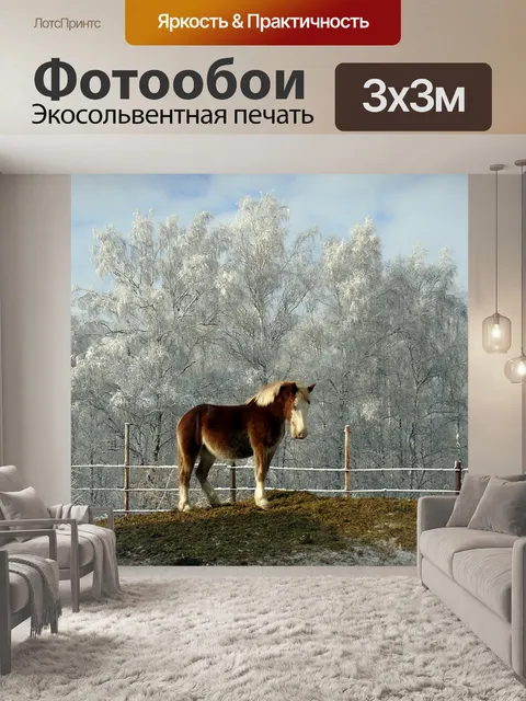 Фотообои Лошадь