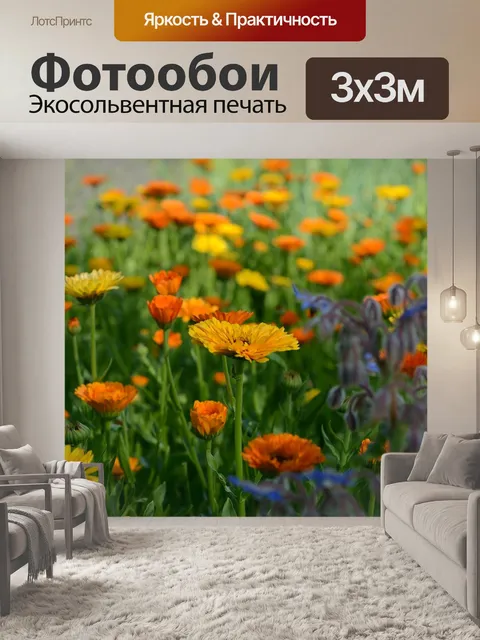 Фотообои Луг