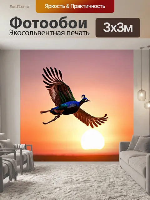 Фотообои павлин в полете, распустивший свои великолепные перья, которые хватают солнечные лучи