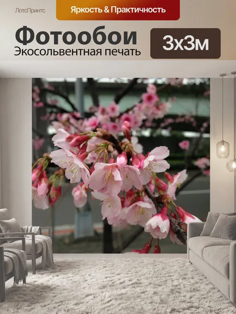 Фотообои Цветение вишни