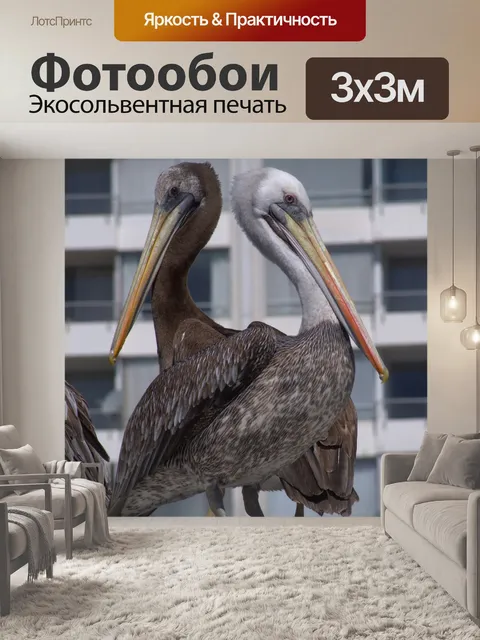 Фотообои Птицы