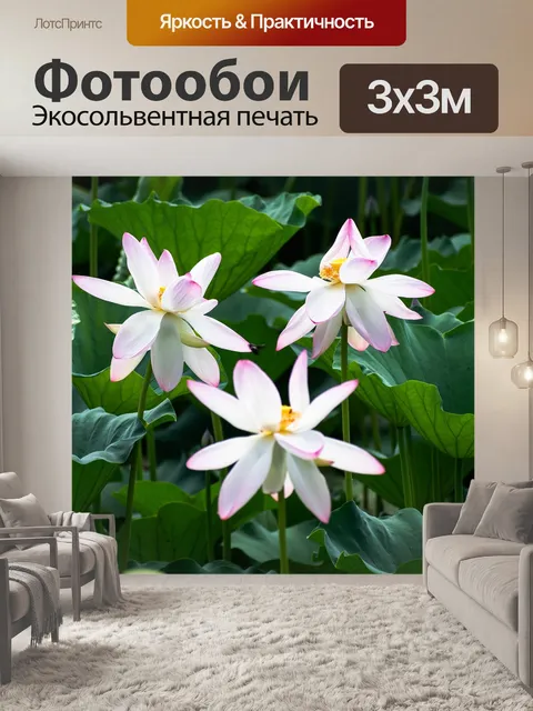 Фотообои Цветы