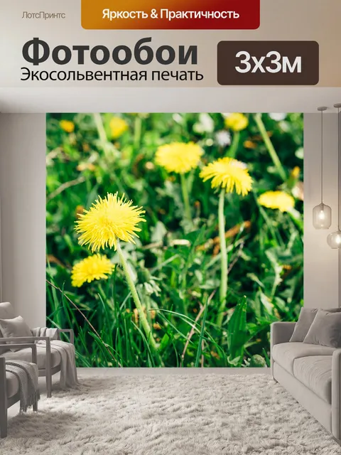 Фотообои Одуванчик