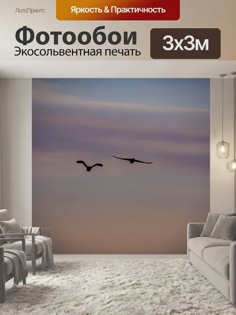 Фотообои бакланы