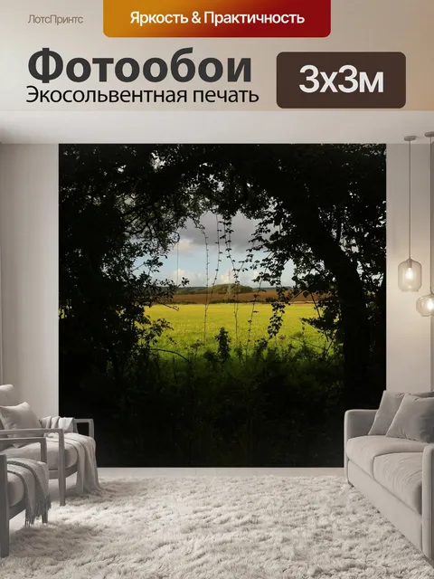 Фотообои Лес