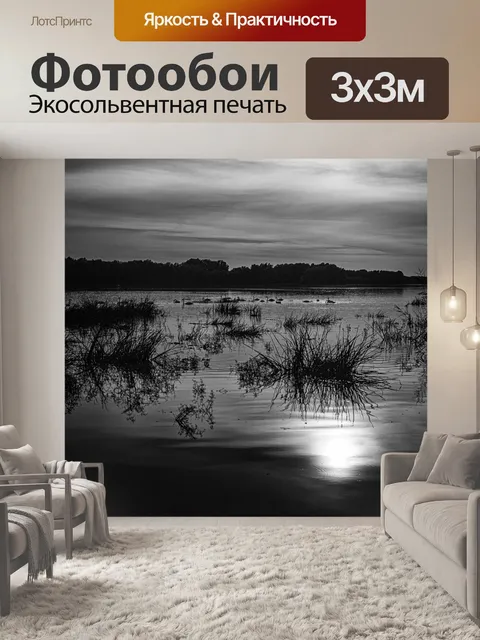 Фотообои Лебеди III