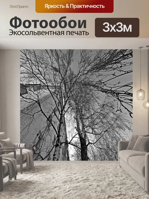 Фотообои Деревья