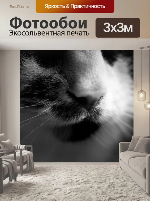 Фотообои Кошки