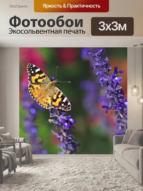 Фотообои Бабочка