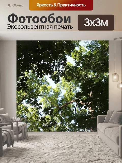 Фотообои Деревья