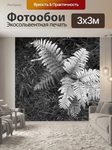 Фотообои Дикий папоротник
