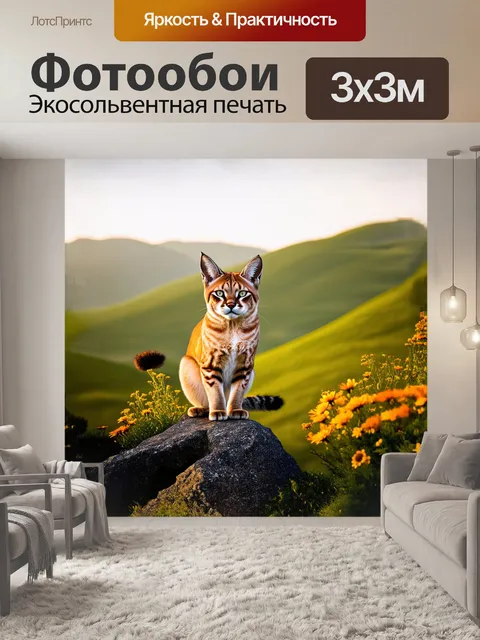 Фотообои каракал, сидящий на скале, освещенный мягким светом заката