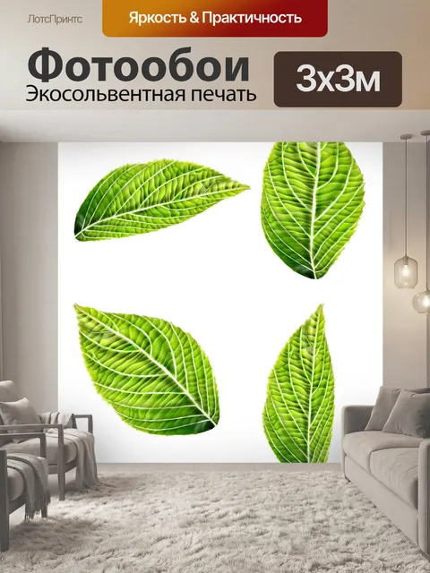 Фотообои Листья