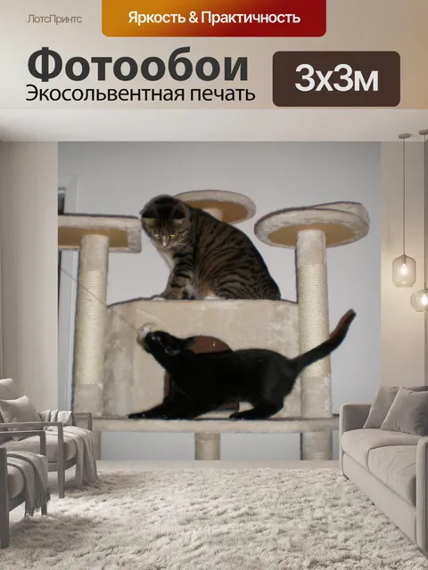 Фотообои Игривый Кошки