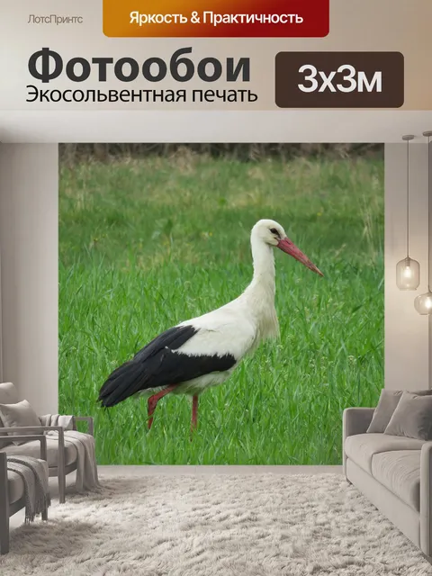 Фотообои Аист