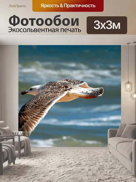 Фотообои Чайка Полет над океаном