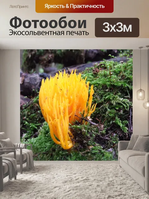 Фотообои Ramaria Aurea