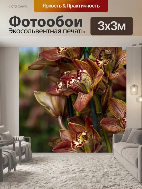 Фотообои Орхидеи