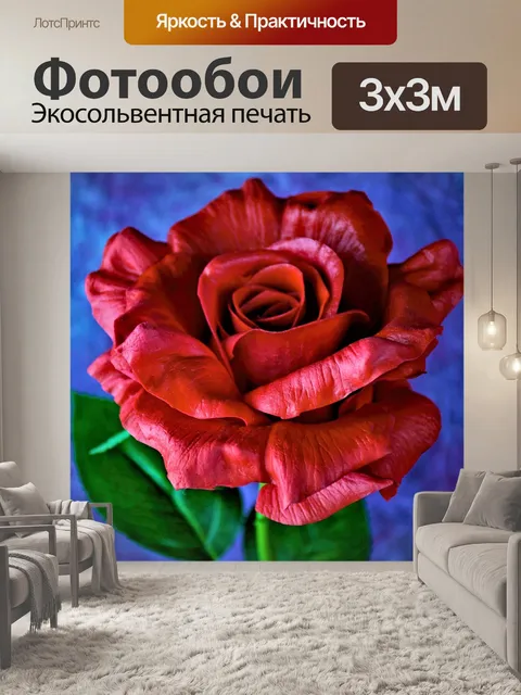 Фотообои Роза